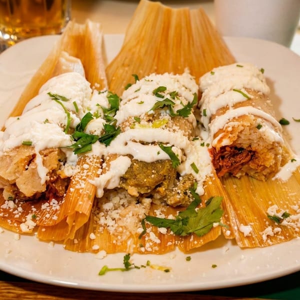 Plate of three crispy stuffed corn rolls drizzled with cream sauce, cheese, and herbs, surrounded by folded corn husks.
